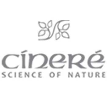 سینره - Cinere